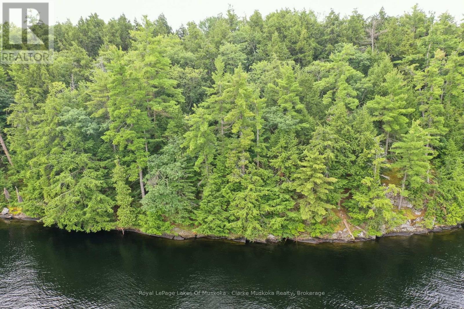 0 Muskoka Lake, Muskoka Lakes, Ontario  P0C 1A0 - Photo 10 - X13675104