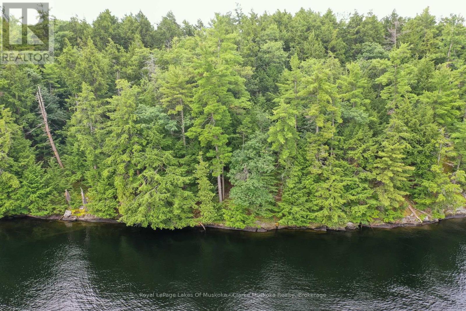 0 Muskoka Lake, Muskoka Lakes, Ontario  P0C 1A0 - Photo 11 - X13675104