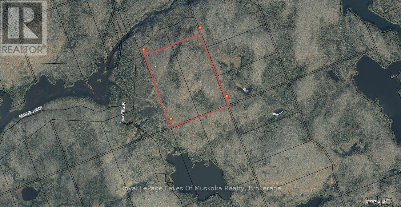 0 Billie Bear Road, Lake Of Bays, Ontario  P0A 1H0 - Photo 4 - X13677274