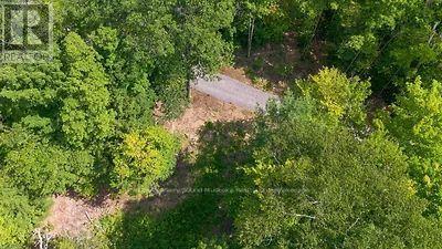 110c Louisa Street, Parry Sound, Ontario  P2A 3B9 - Photo 14 - X13679738