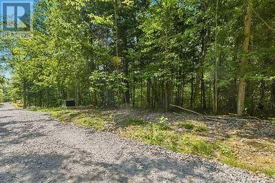 110c Louisa Street, Parry Sound, Ontario  P2A 3B9 - Photo 17 - X13679738