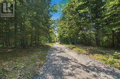 110c Louisa Street, Parry Sound, Ontario  P2A 3B9 - Photo 18 - X13679738