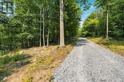 110c Louisa Street, Parry Sound, Ontario  P2A 3B9 - Photo 5 - X13679738