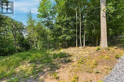 110c Louisa Street, Parry Sound, Ontario  P2A 3B9 - Photo 6 - X13679738