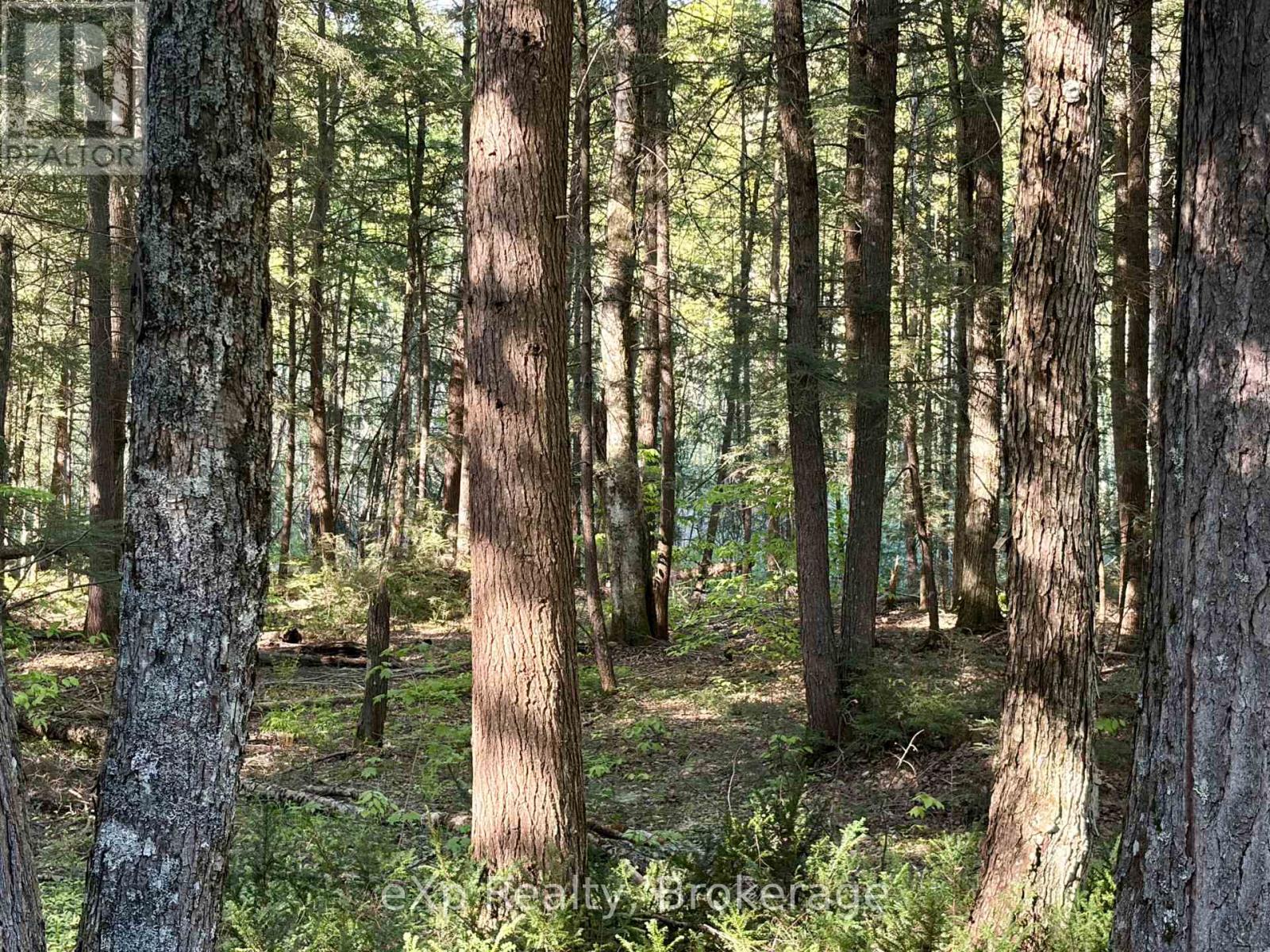 1080 Milne Road, Bracebridge, Ontario  P1L 1X1 - Photo 13 - X13680536