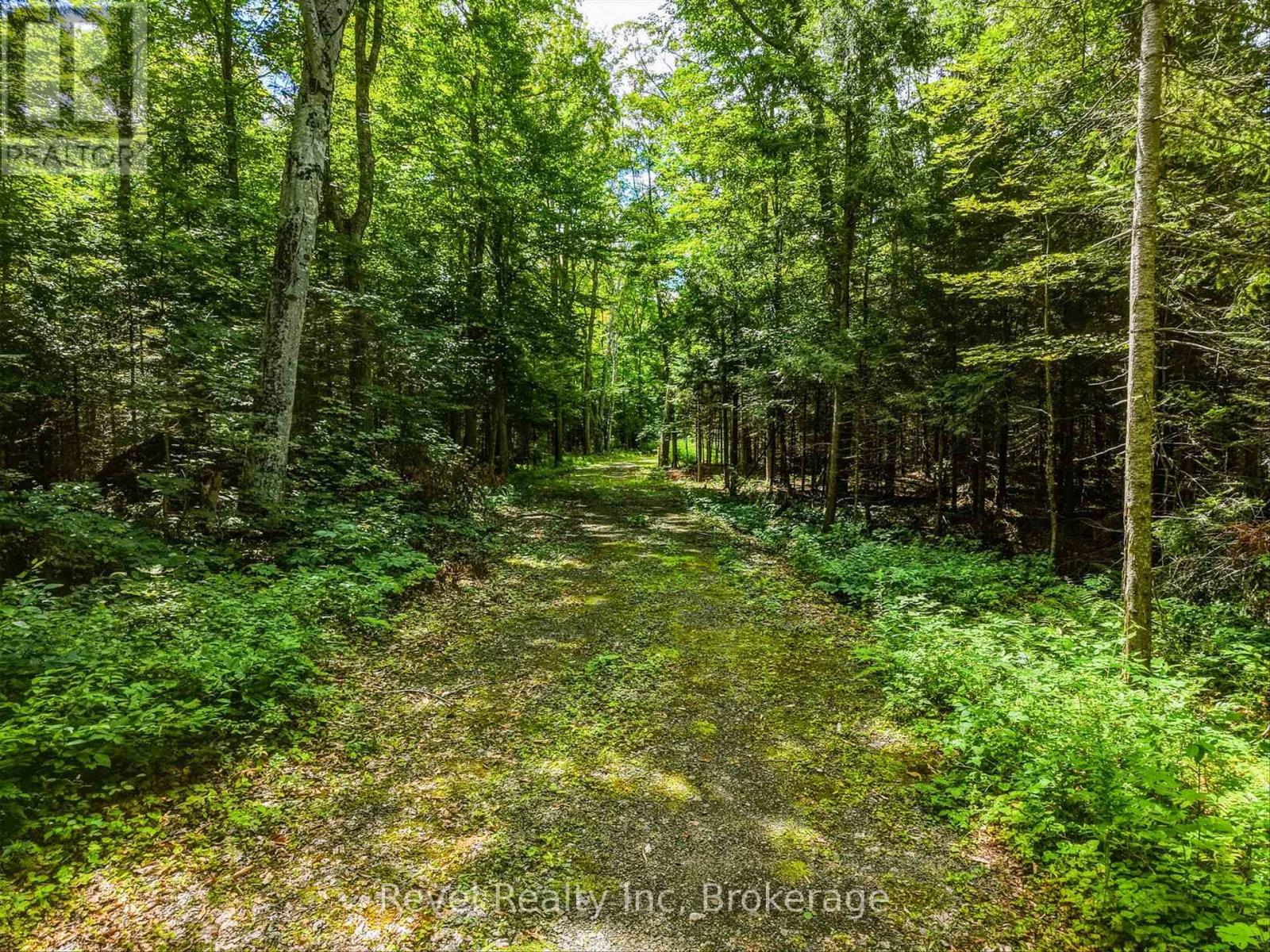 1054 Bird Lake Road, Bracebridge, Ontario P1L 1X1 - Photo 10 - X13684186