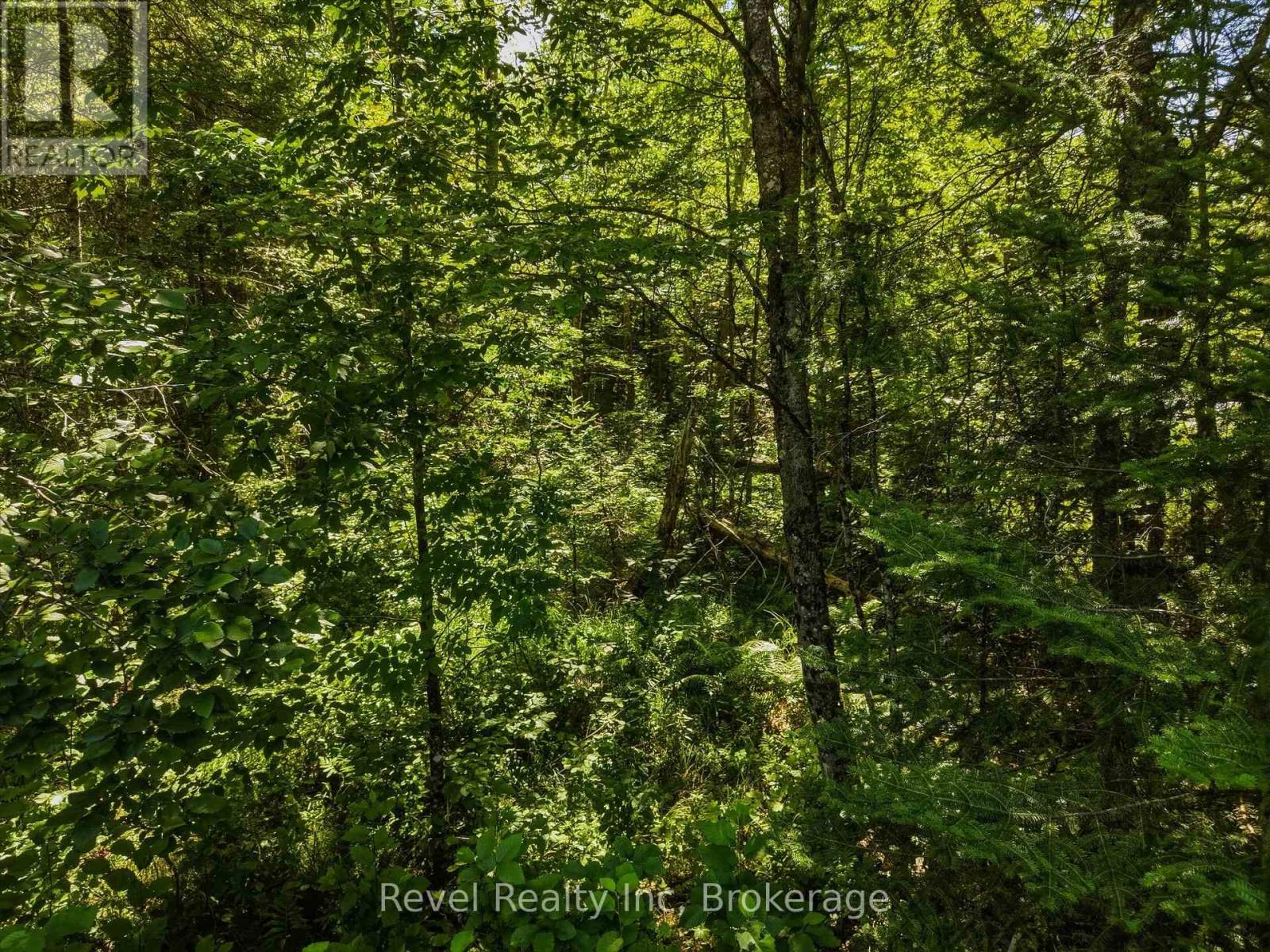 1054 Bird Lake Road, Bracebridge, Ontario P1L 1X1 - Photo 15 - X13684186