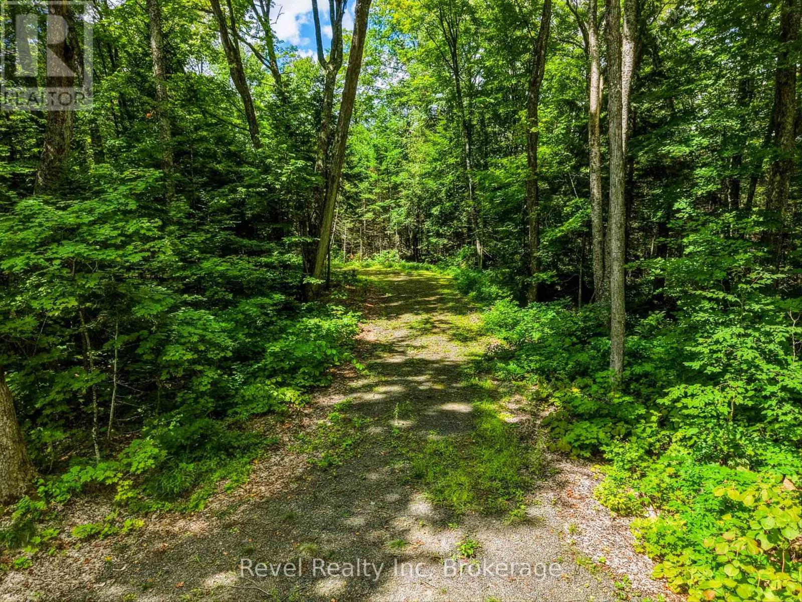 1054 Bird Lake Road, Bracebridge, Ontario P1L 1X1 - Photo 6 - X13684186