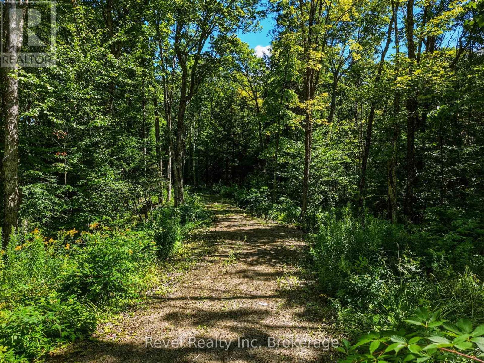 1054 Bird Lake Road, Bracebridge, Ontario P1L 1X1 - Photo 7 - X13684186