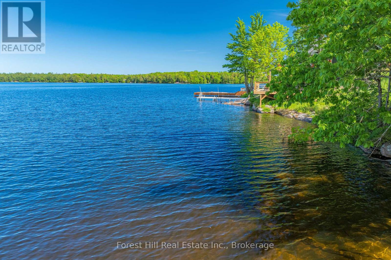 18 Hawkins Point Road, Georgian Bay, Ontario P0C 1A0 - Photo 19 - X13695026
