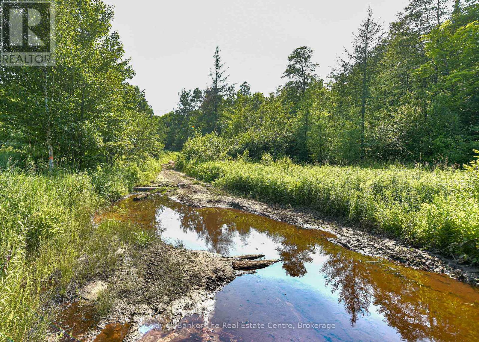1121 Beiers Road, Gravenhurst, Ontario P0E 1G0 - Photo 28 - X13696556