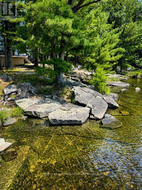 456 Eilean Gowan Island, Bracebridge, Ontario  P1P 1R2 - Photo 13 - X13701360