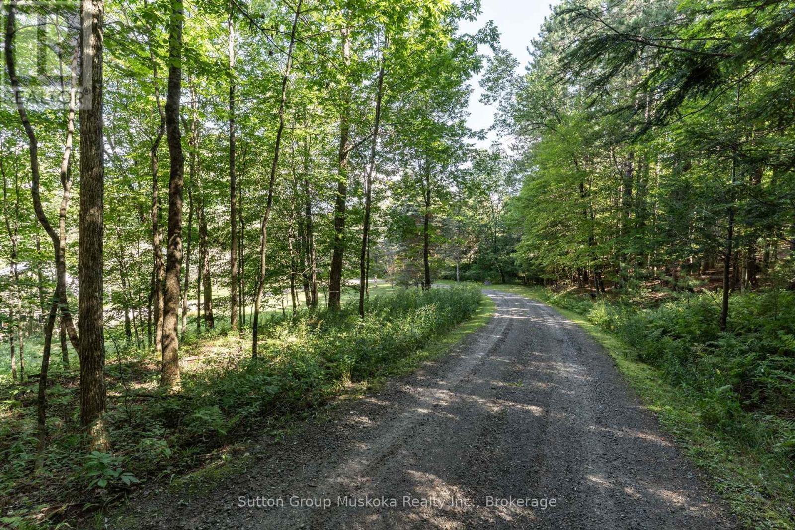 577 Canal Road, Huntsville, Ontario P1H 2J6 - Photo 6 - X13712824