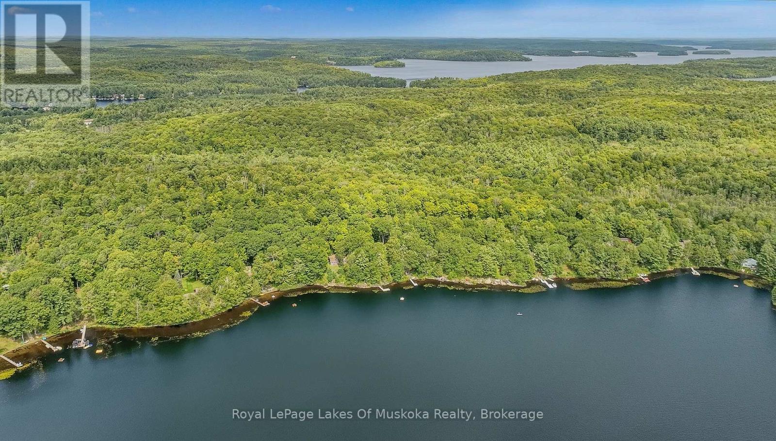 1063 Dickie Lake Road, Lake Of Bays, Ontario  P0B 1A0 - Photo 30 - X13732118