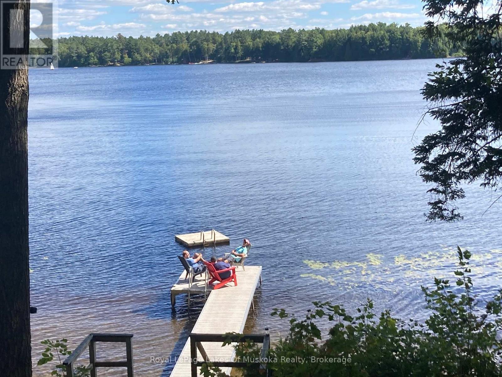 1063 Dickie Lake Road, Lake Of Bays, Ontario  P0B 1A0 - Photo 7 - X13732118