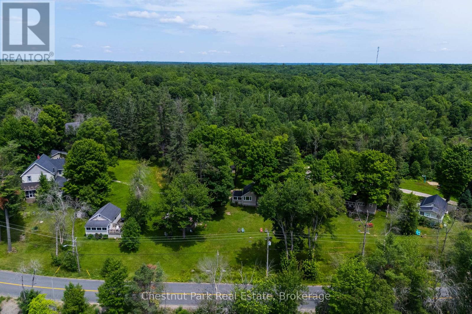 1168 Moon River Road, Muskoka Lakes, Ontario  P0C 1A0 - Photo 9 - X13732422