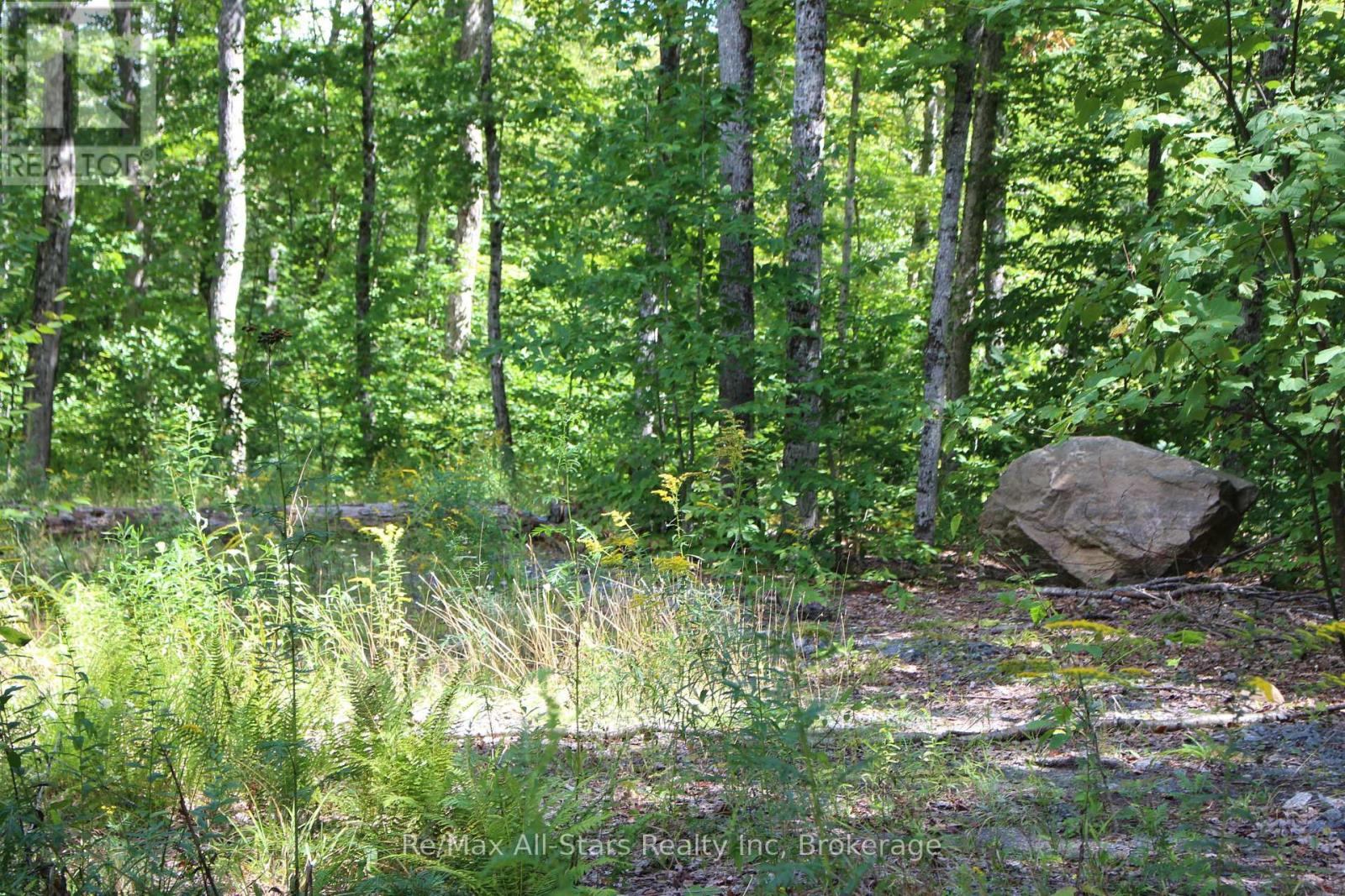 3480 Brunel Road, Lake Of Bays, Ontario  P1H 2J3 - Photo 14 - X13736012