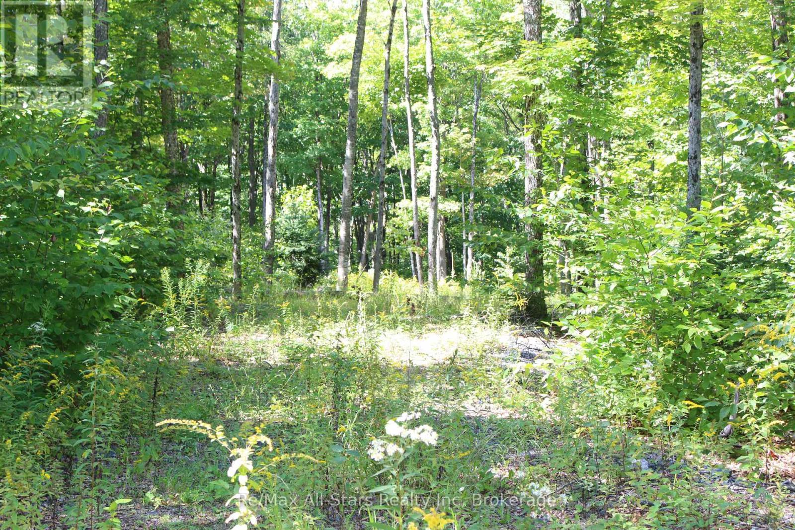 3480 Brunel Road, Lake Of Bays, Ontario  P1H 2J3 - Photo 7 - X13736012
