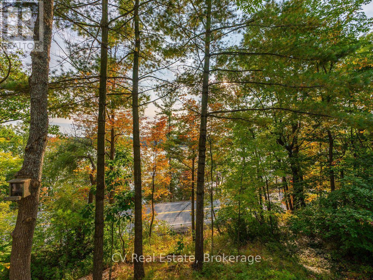1356 & 1357 Peninsula Road, Muskoka Lakes, Ontario  P0B 1J0 - Photo 10 - X13743086