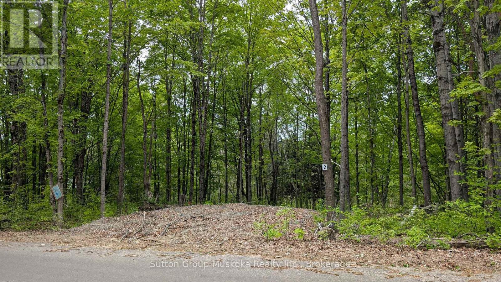 Lot 2 Tally-Ho Winter Park Road, Lake Of Bays, Ontario  P1H 2E5 - Photo 2 - X13744766