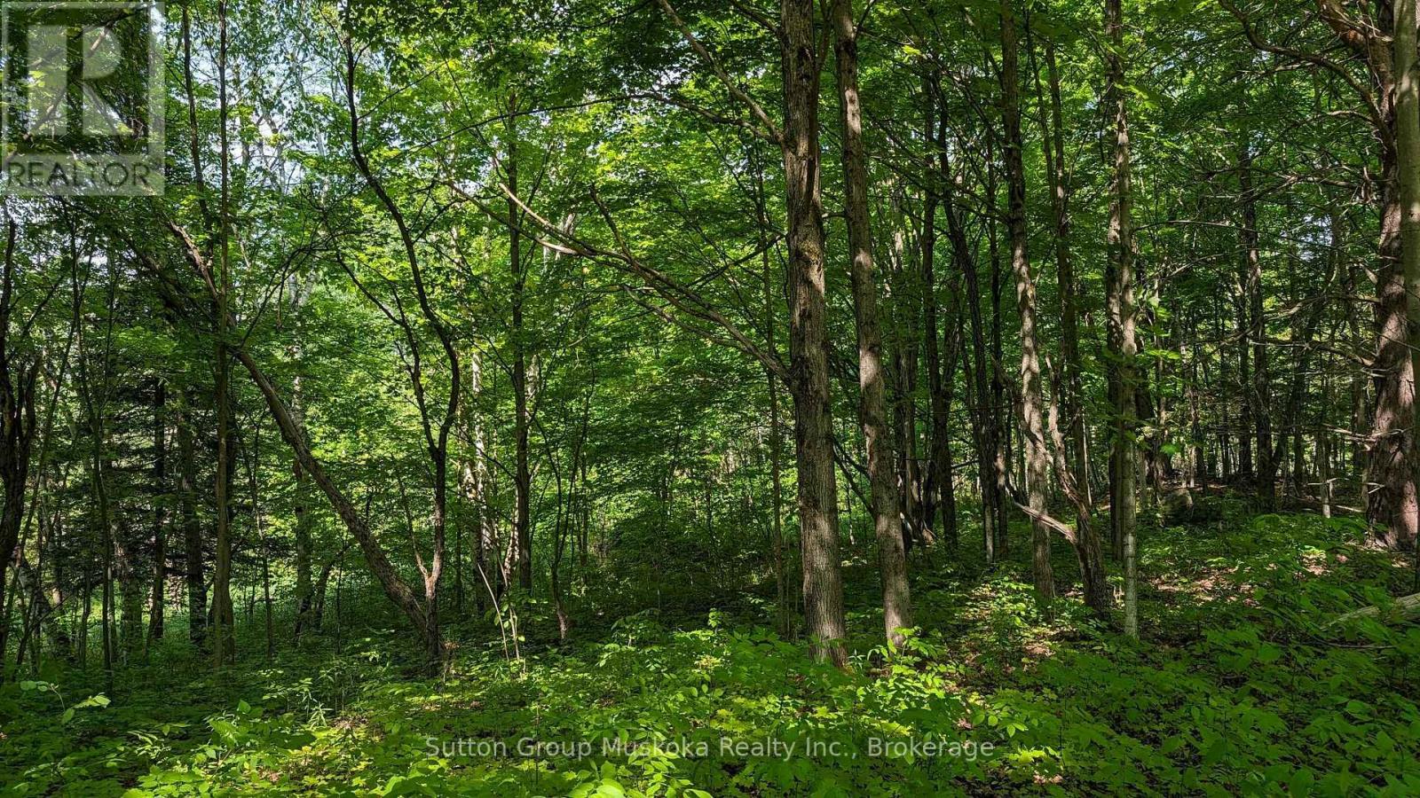 Lot 2 Tally-Ho Winter Park Road, Lake Of Bays, Ontario  P1H 2E5 - Photo 3 - X13744766