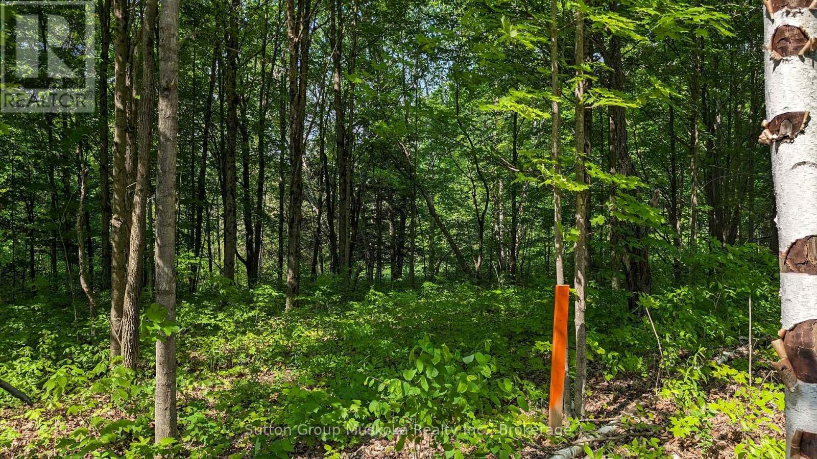 Lot 2 Tally-Ho Winter Park Road, Lake Of Bays, Ontario  P1H 2E5 - Photo 5 - X13744766