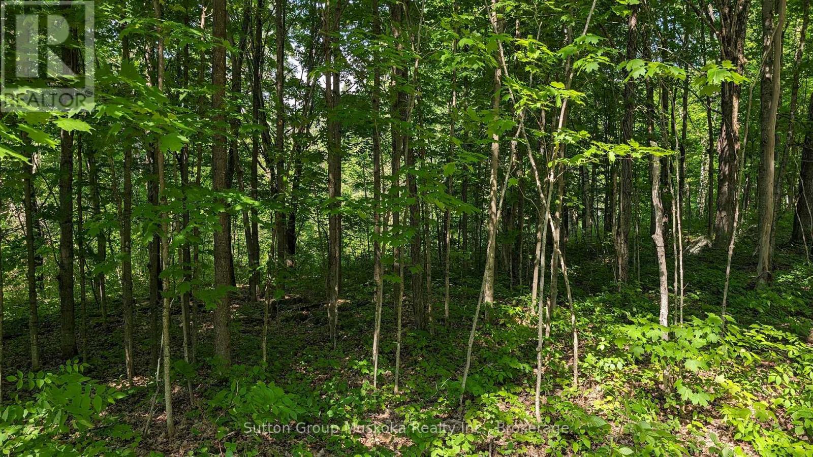 Lot 2 Tally-Ho Winter Park Road, Lake Of Bays, Ontario  P1H 2E5 - Photo 8 - X13744766