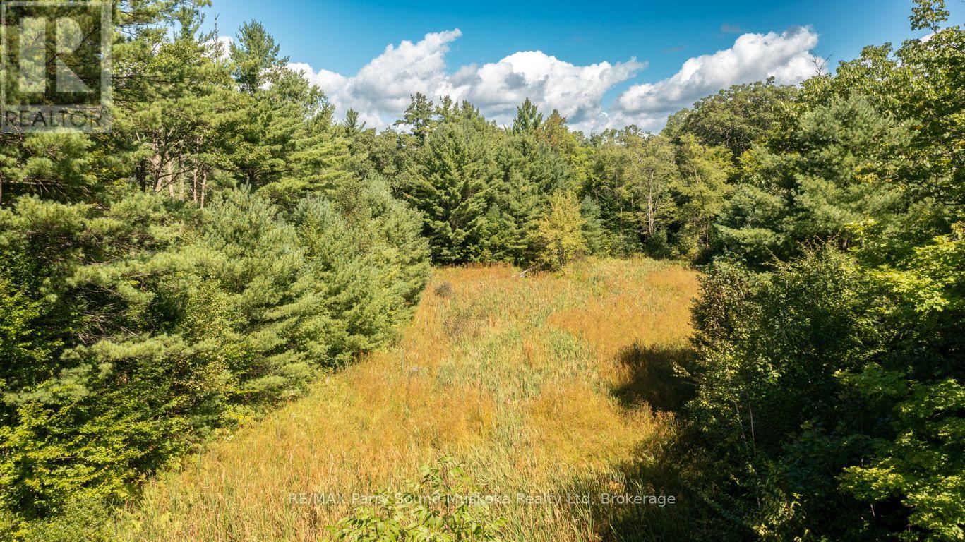 290 Rankin Lake Road, Seguin, Ontario  P2A 2W8 - Photo 39 - X13746452