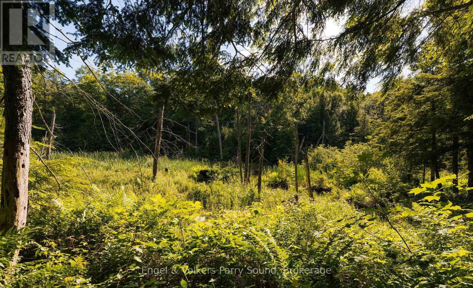 15 Beechwood Drive, Seguin, Ontario  P2A 2W8 - Photo 42 - X13747028