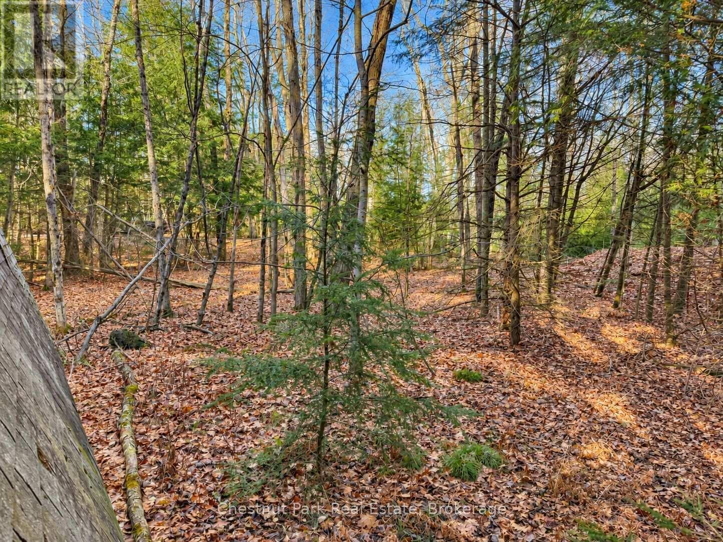 26 Blair Point Road, Seguin, Ontario  P0C 1J0 - Photo 10 - X13748322