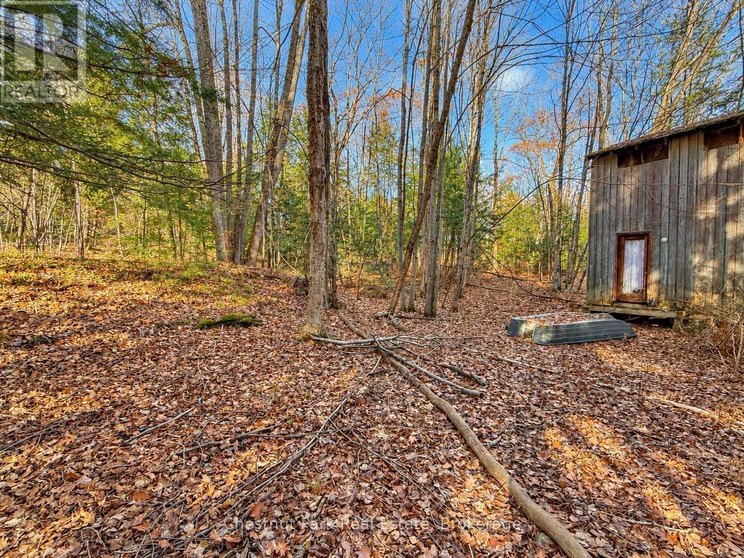 26 Blair Point Road, Seguin, Ontario  P0C 1J0 - Photo 6 - X13748322