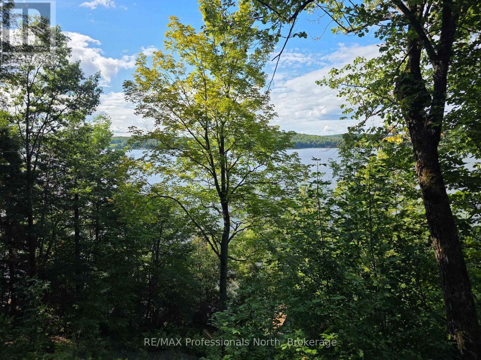 1258-2 Windermere Road, Muskoka Lakes, Ontario  P0B 1M0 - Photo 38 - X13750028