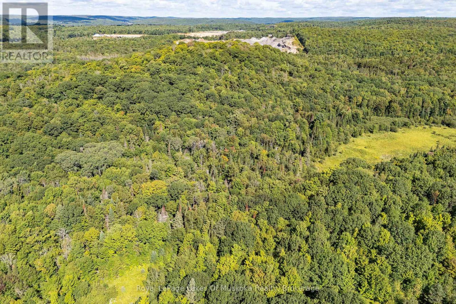 382 60 Highway, Huntsville, Ontario  P1H 1B5 - Photo 28 - X13752834