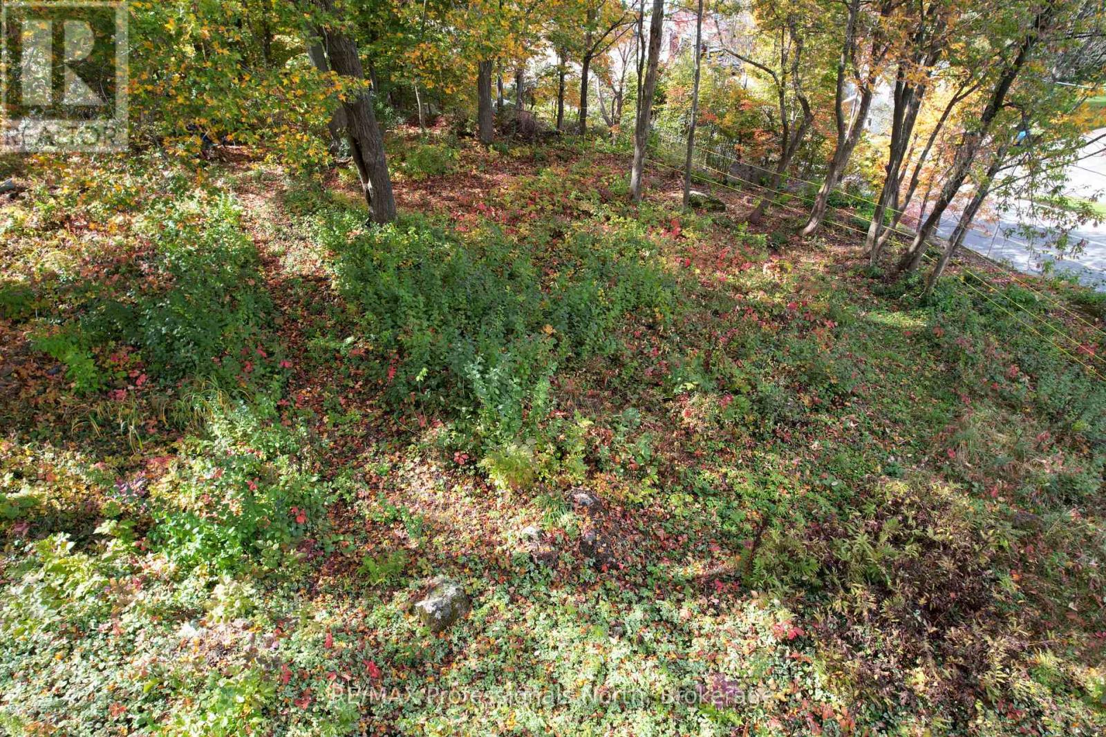 155 Main Street W, Huntsville, Ontario  P1H 1X8 - Photo 10 - X13756168