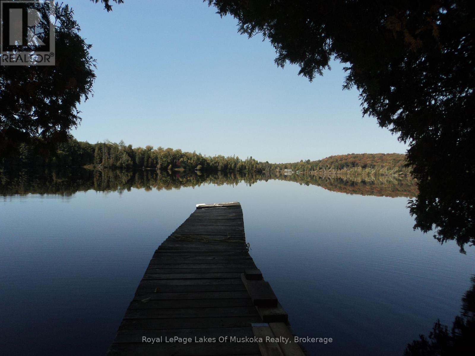 1071 Dotty Lake Road, Lake Of Bays, Ontario  P0A 1H0 - Photo 2 - X13760060