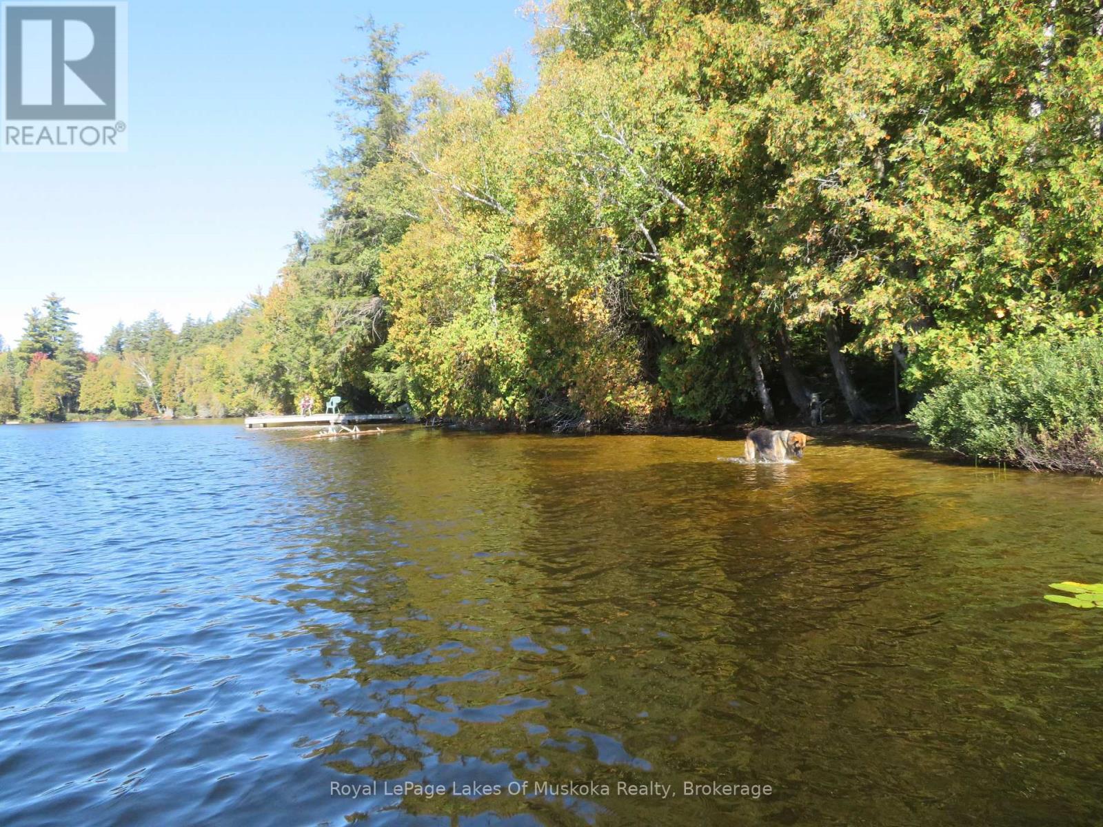 1071 Dotty Lake Road, Lake Of Bays, Ontario  P0A 1H0 - Photo 31 - X13760060