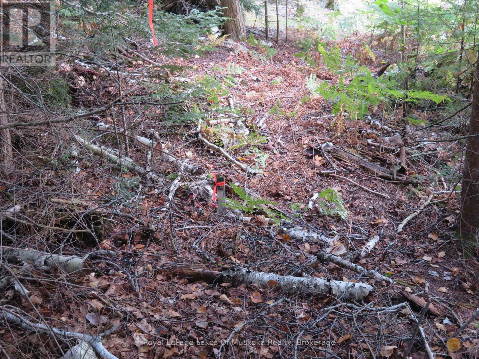 1071 Dotty Lake Road, Lake Of Bays, Ontario  P0A 1H0 - Photo 33 - X13760060