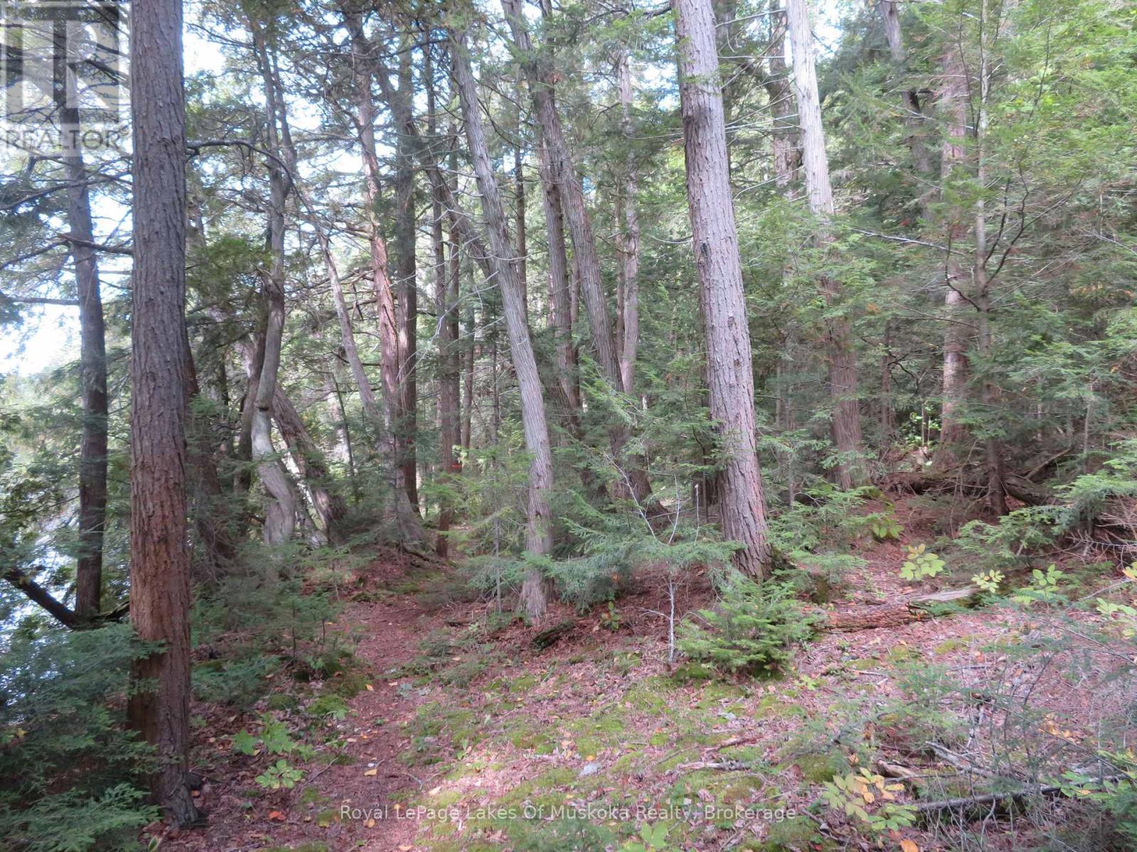 1071 Dotty Lake Road, Lake Of Bays, Ontario  P0A 1H0 - Photo 35 - X13760060