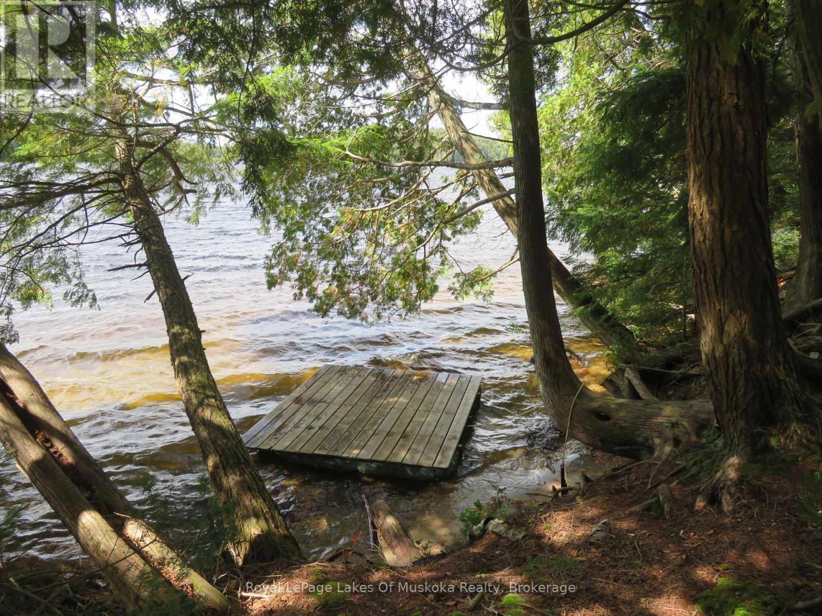 1071 Dotty Lake Road, Lake Of Bays, Ontario  P0A 1H0 - Photo 8 - X13760060