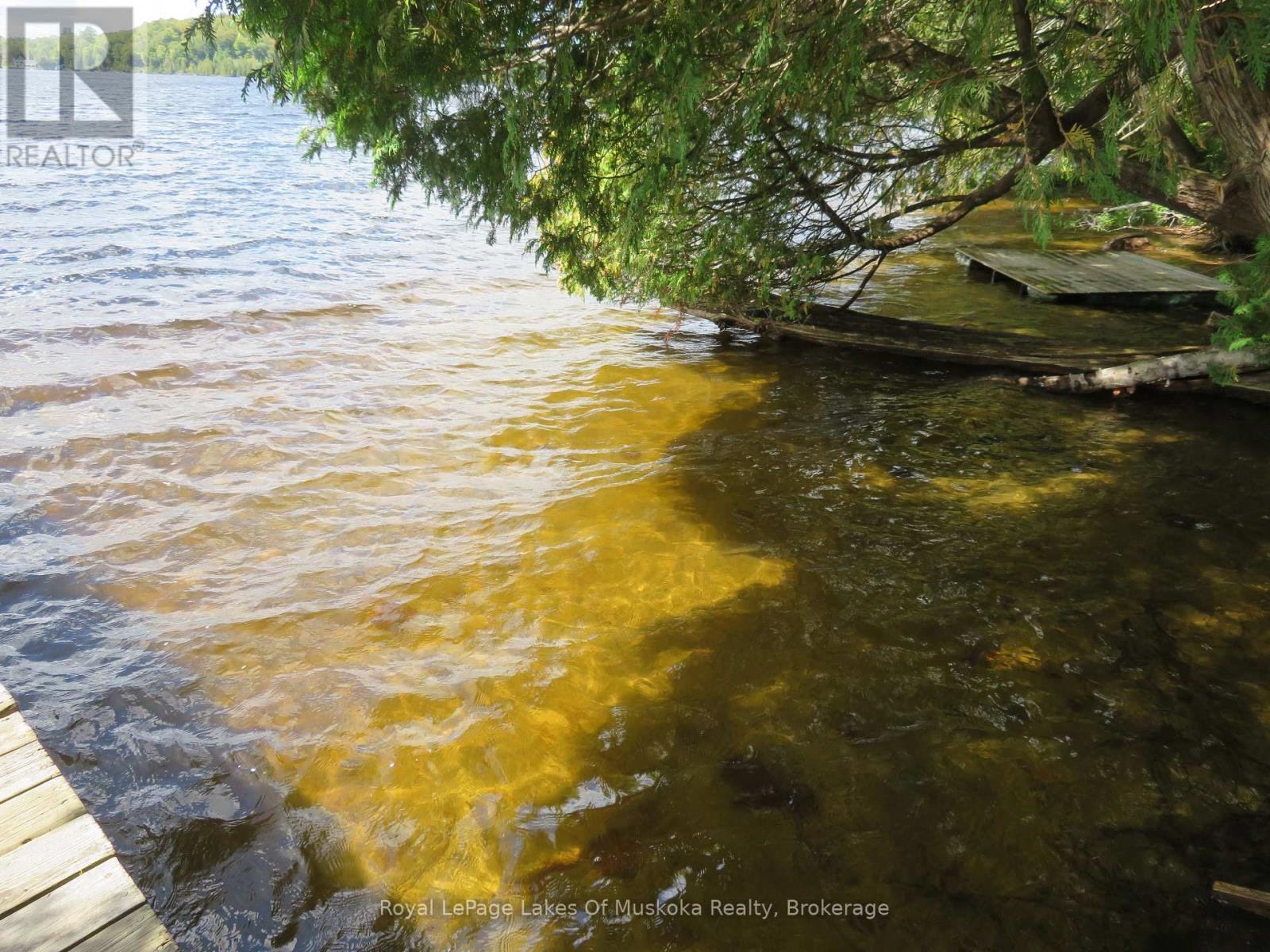 1071 Dotty Lake Road, Lake Of Bays, Ontario  P0A 1H0 - Photo 9 - X13760060