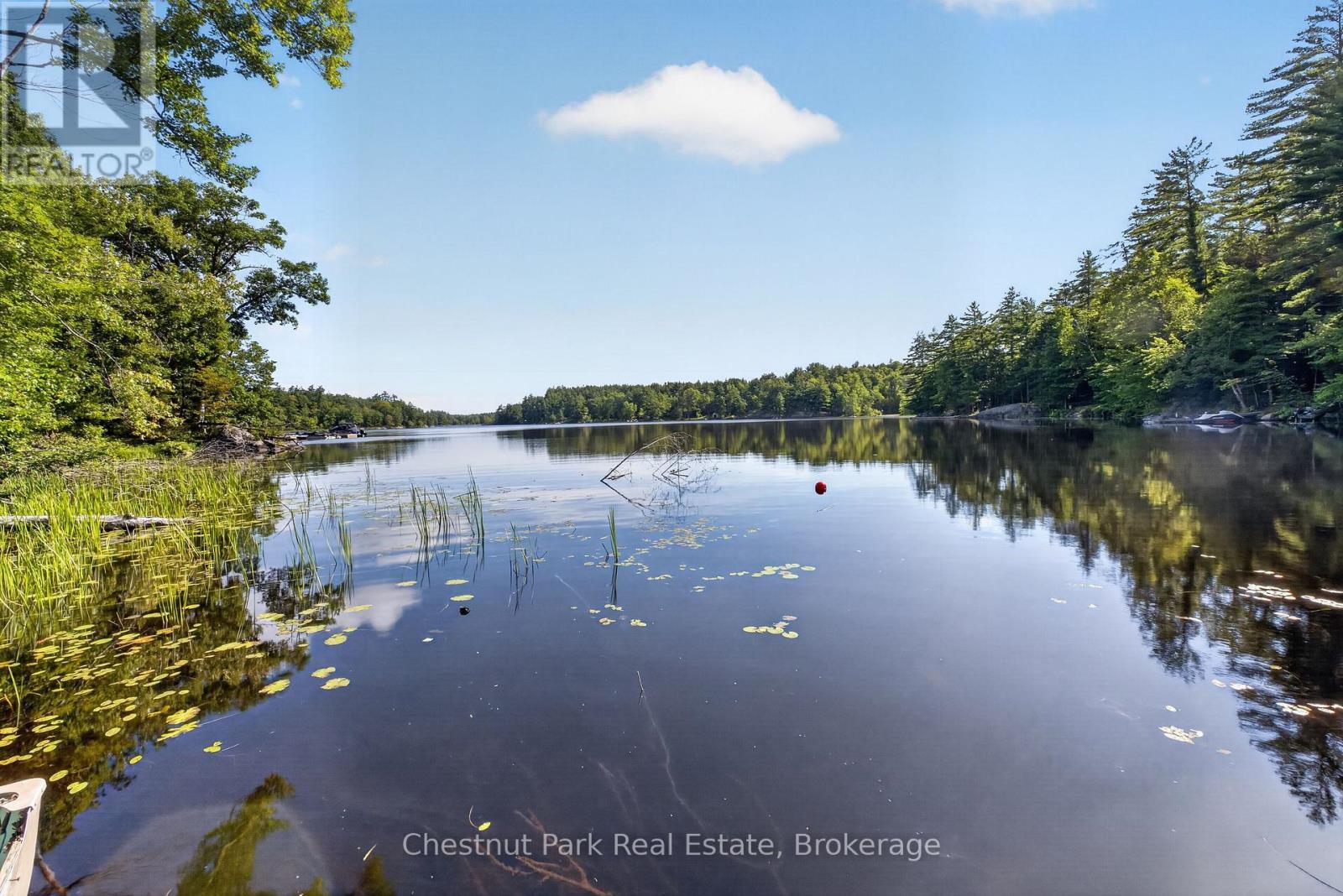 1627 Houseys Rapids Road, Gravenhurst, Ontario P1P 1R3 - Photo 14 - X13762108