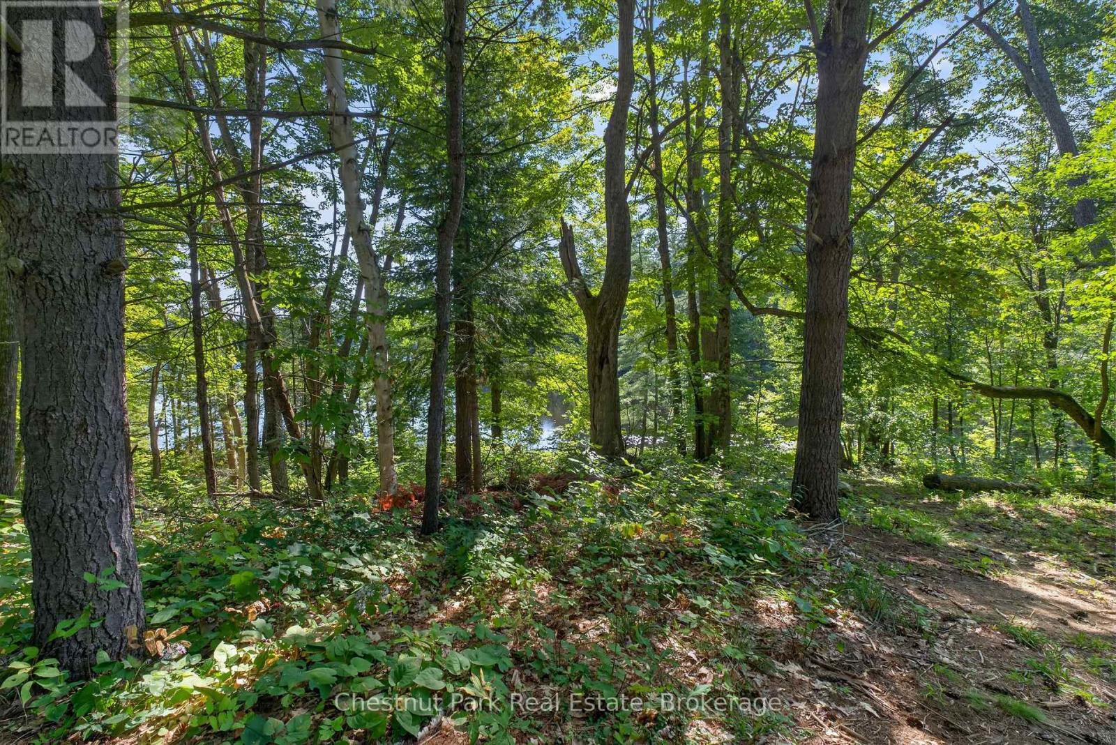 1627 Houseys Rapids Road, Gravenhurst, Ontario P1P 1R3 - Photo 17 - X13762108
