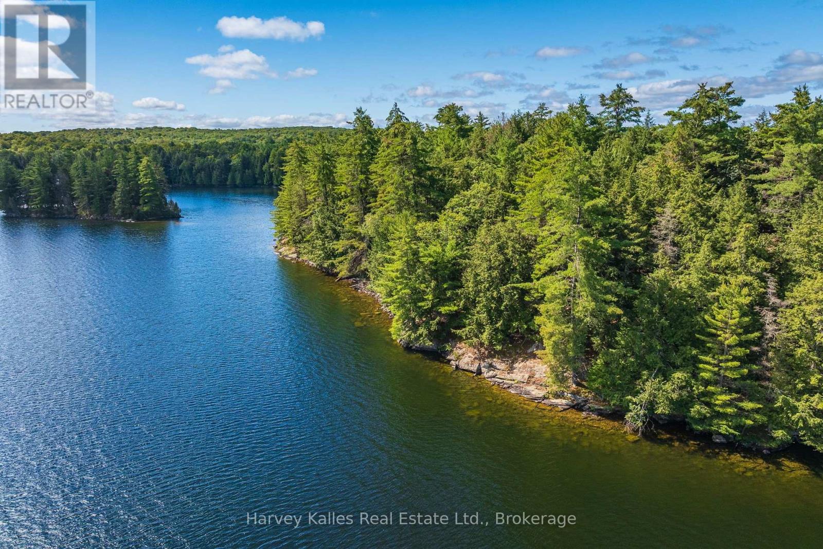 1353 Port Cunnington Road, Lake Of Bays, Ontario  P0A 1H0 - Photo 27 - X13767852