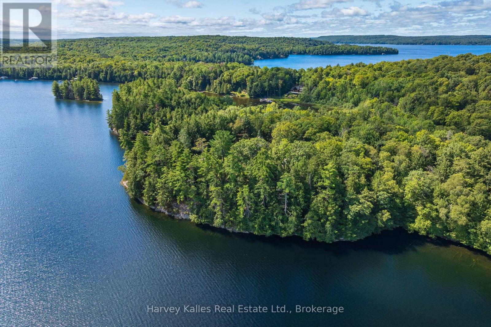 1353 Port Cunnington Road, Lake Of Bays, Ontario  P0A 1H0 - Photo 6 - X13767852