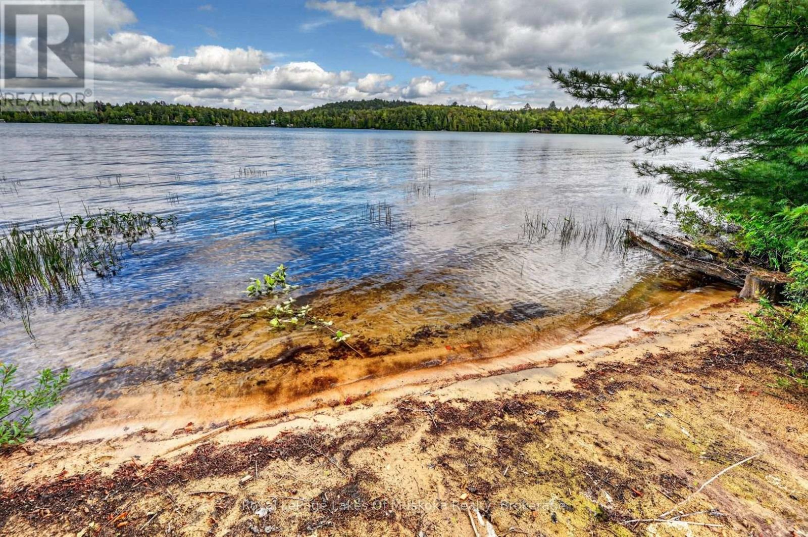 3 - 1041 Kells Bay Road, Lake Of Bays, Ontario P1H 2J6 - Photo 22 - X13768334