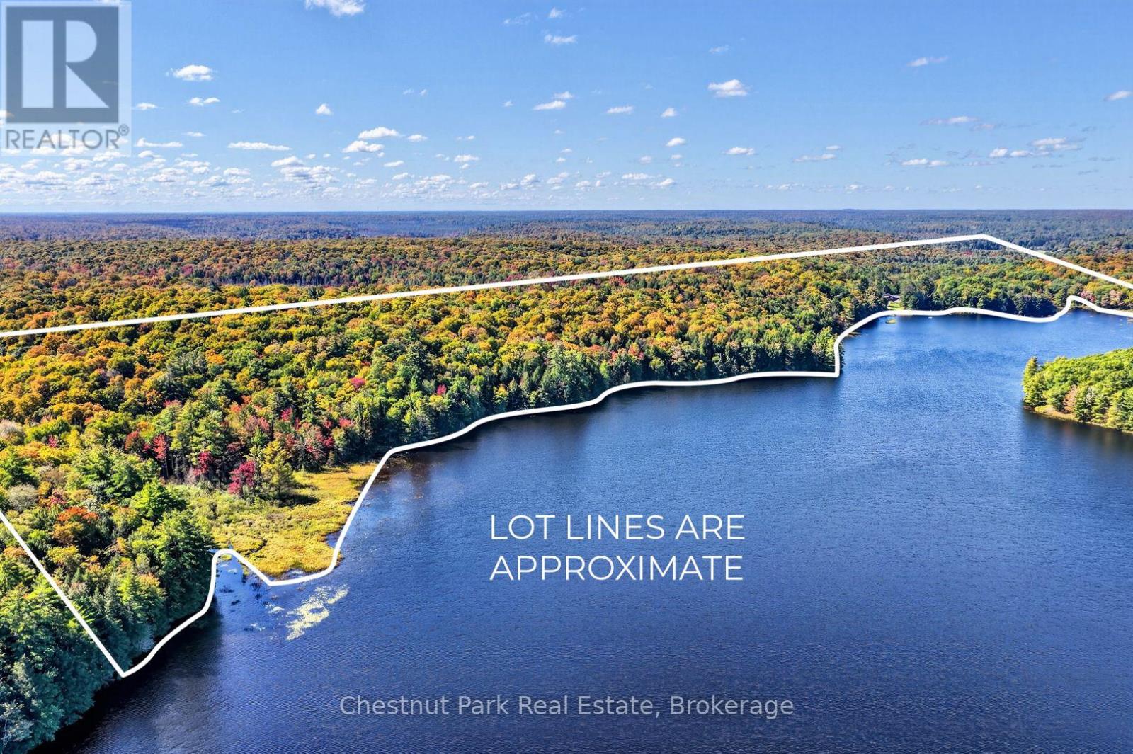 848 Clearwater Lake Road, Huntsville, Ontario P0B 1L0 - Photo 34 - X13783604