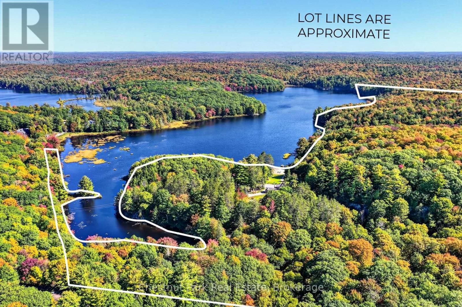 848 Clearwater Lake Road, Huntsville, Ontario P0B 1L0 - Photo 35 - X13783604