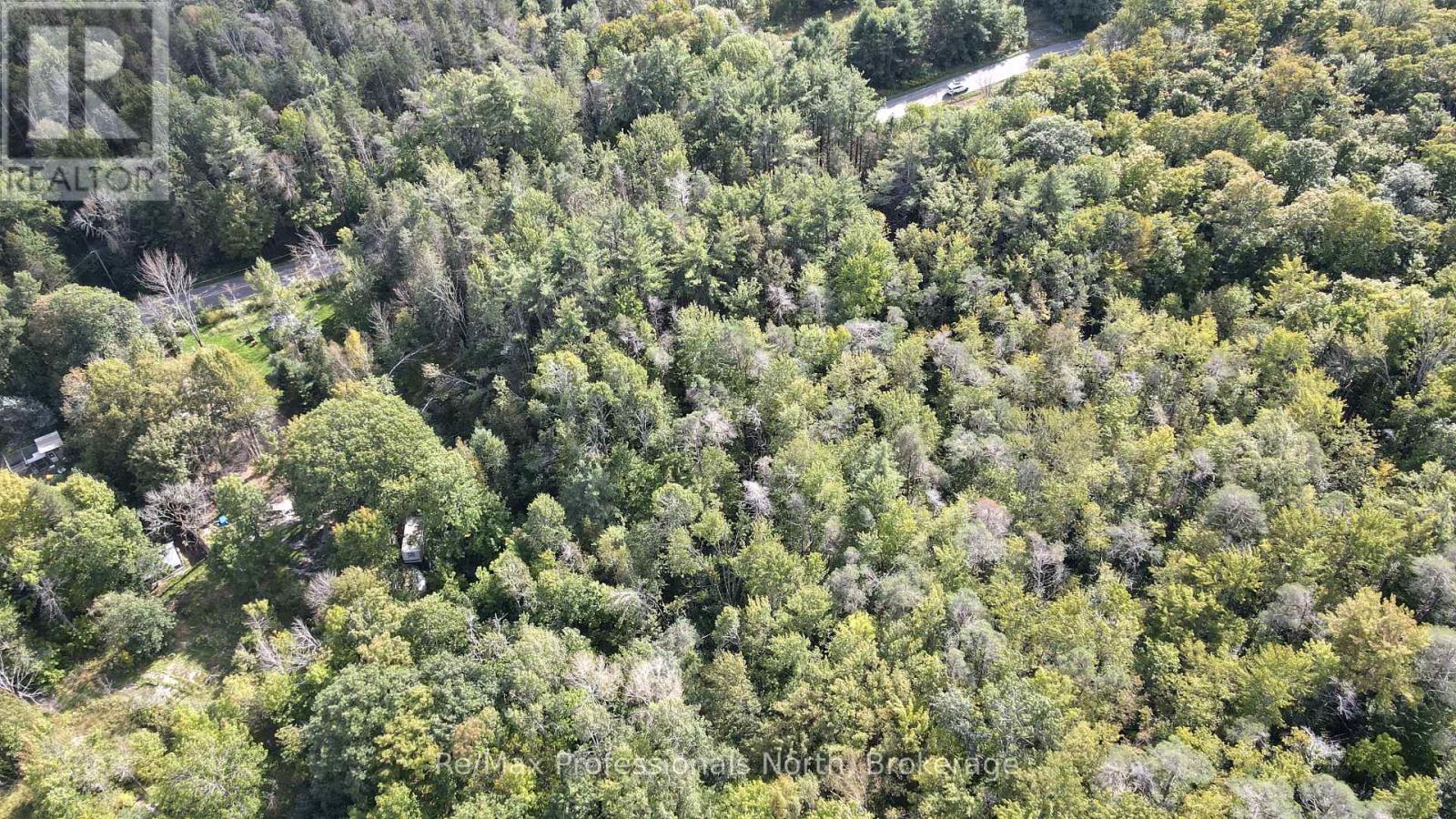 1268 Moon River Road, Muskoka Lakes, Ontario L0K 1E0 - Photo 10 - X13783826