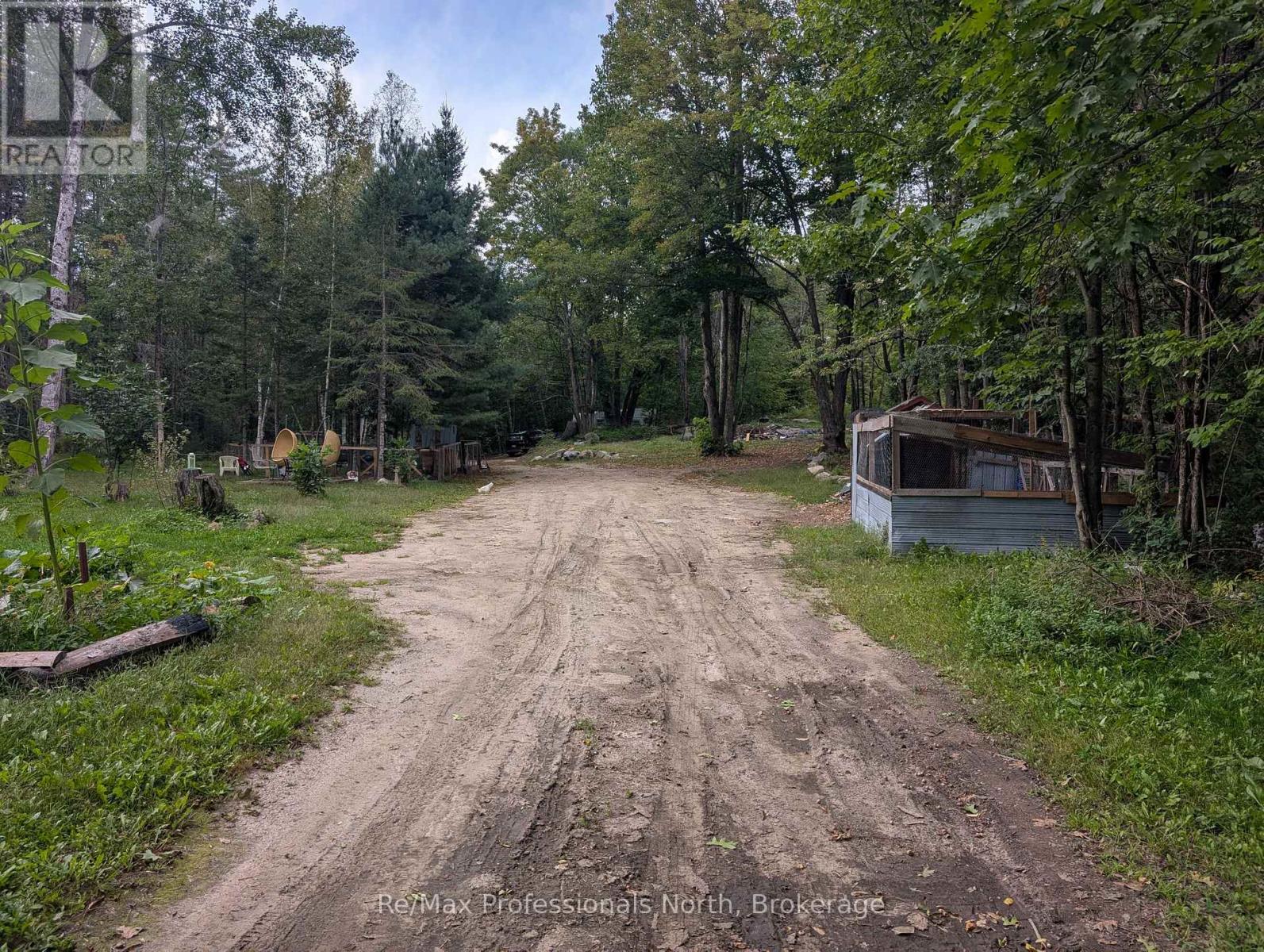 1268 Moon River Road, Muskoka Lakes, Ontario L0K 1E0 - Photo 13 - X13783826