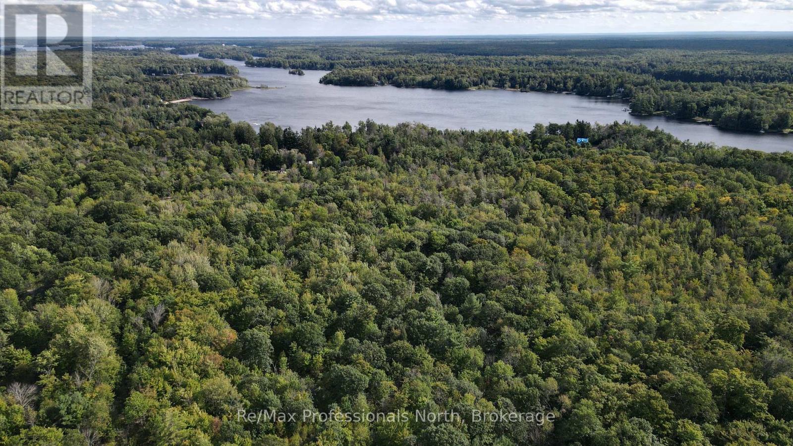 1268 Moon River Road, Muskoka Lakes, Ontario L0K 1E0 - Photo 3 - X13783826